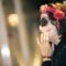 Halloween 2018 – ¡Las fotos!