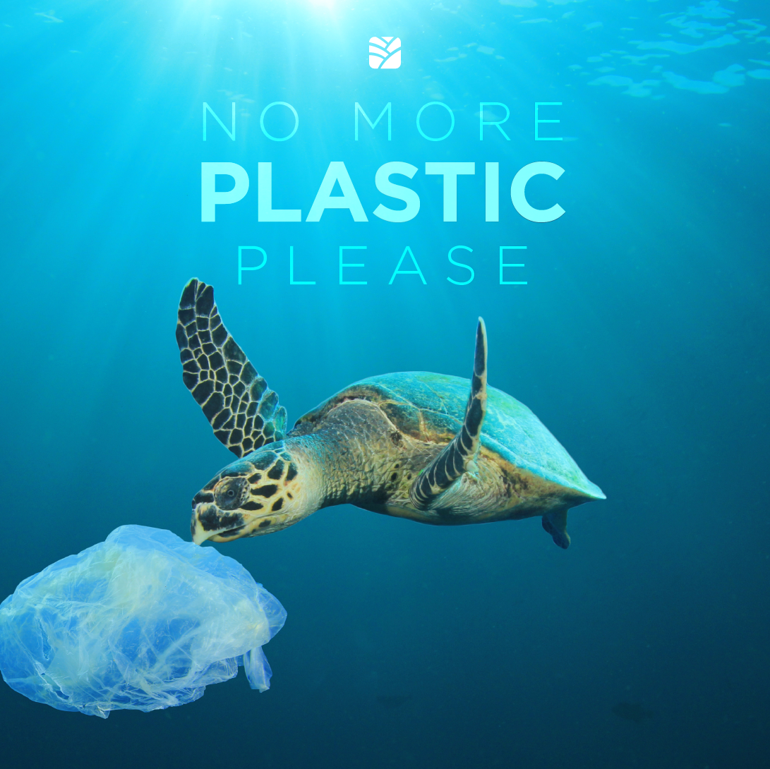 retirar el plastico CIRSA
