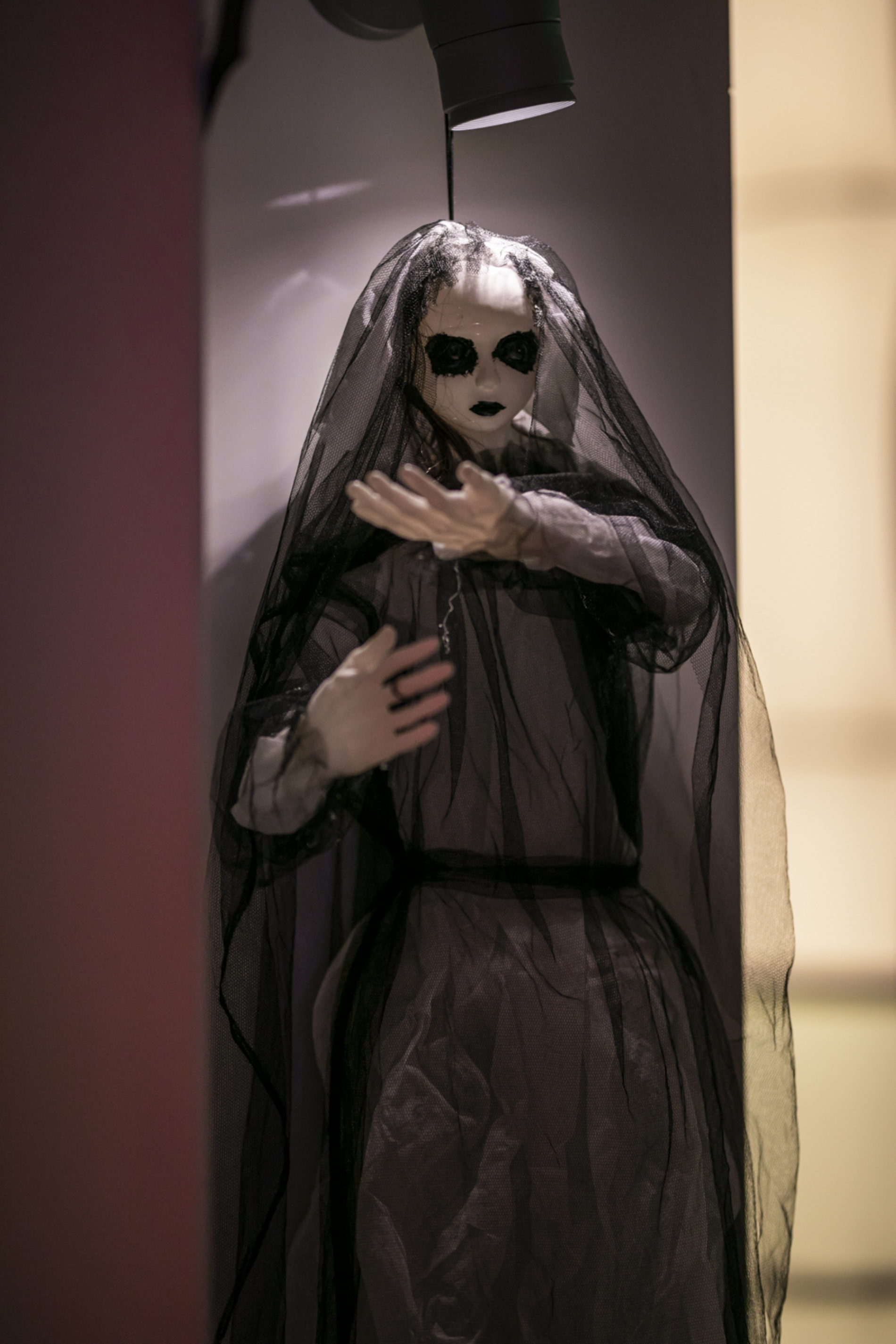 Galería de fotos  – Halloween 2019