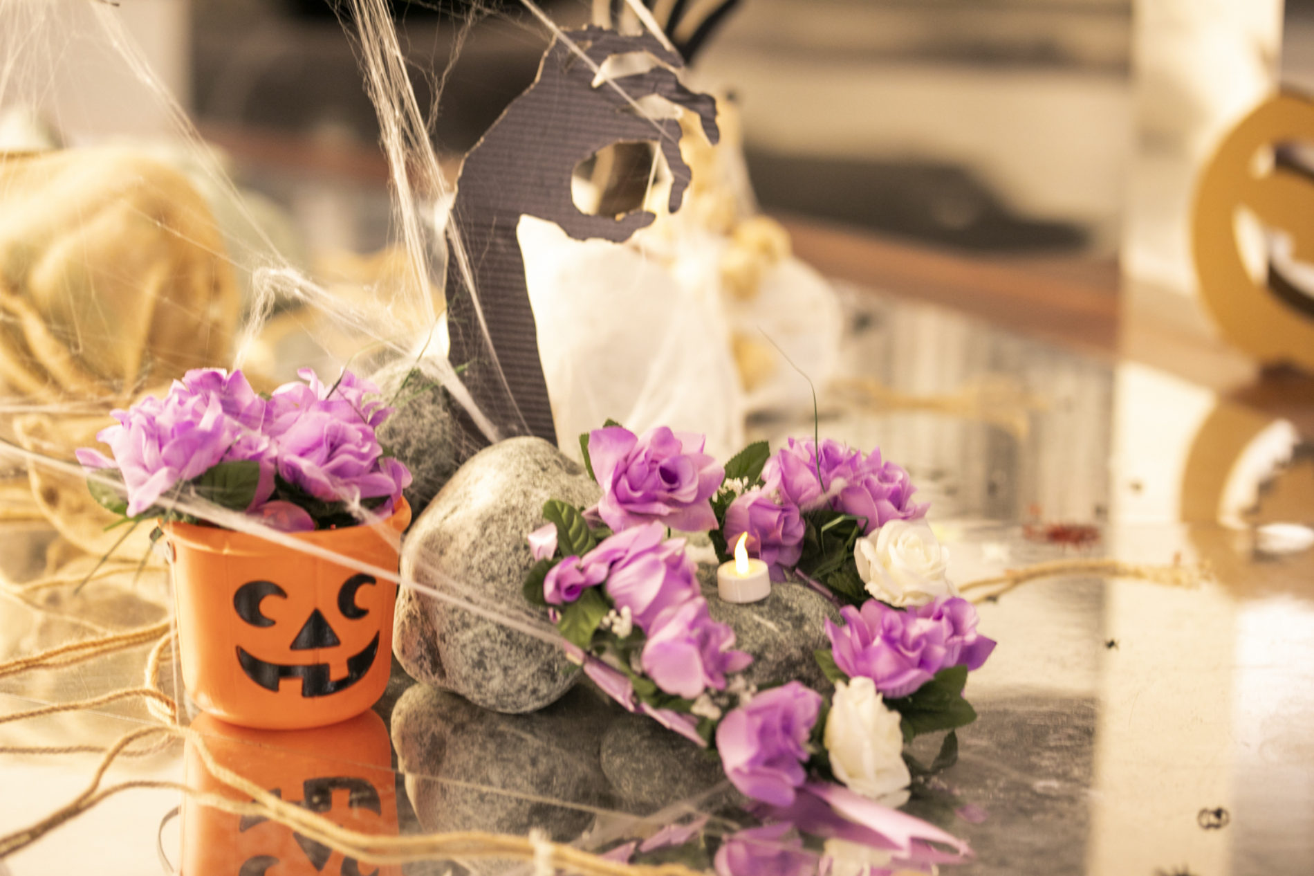 Galería de fotos  – Halloween 2019