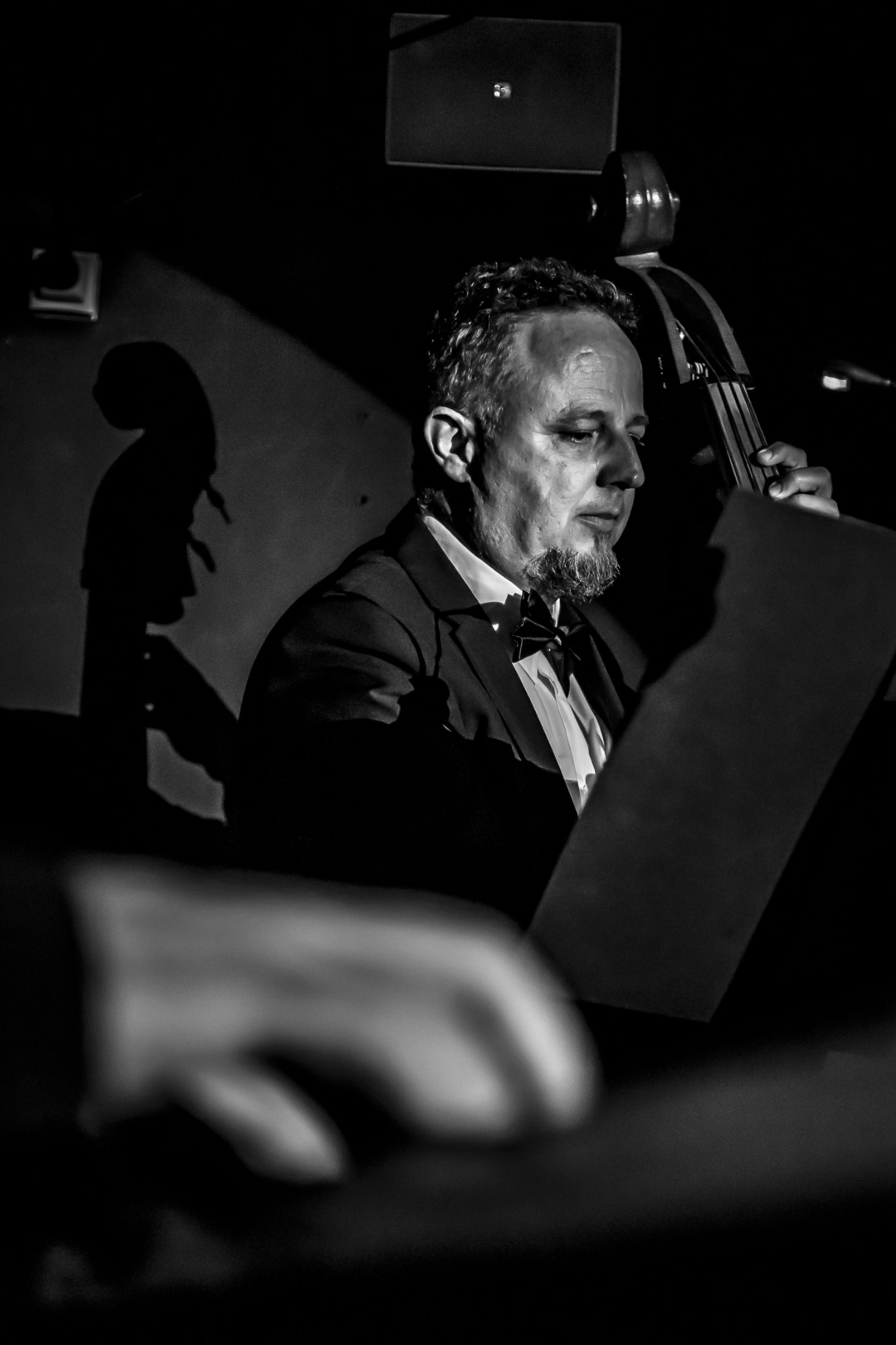 Frank Sinatra Octubre 2022