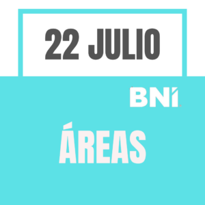 22 JULIO: ÁREAS